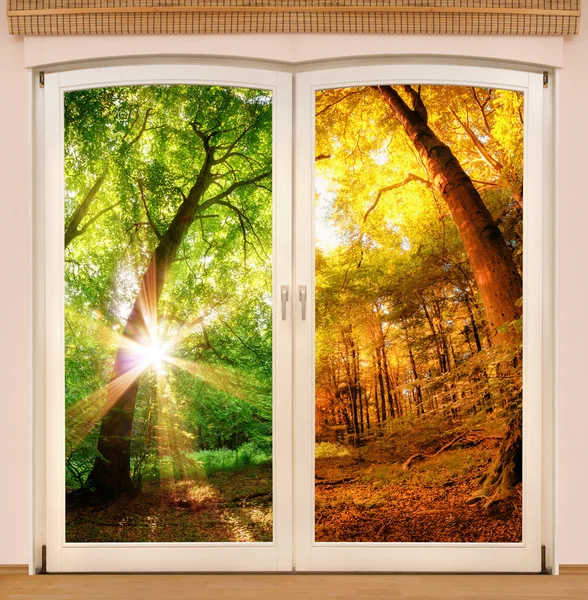 Magic window showing season change — Stock Photo, Image