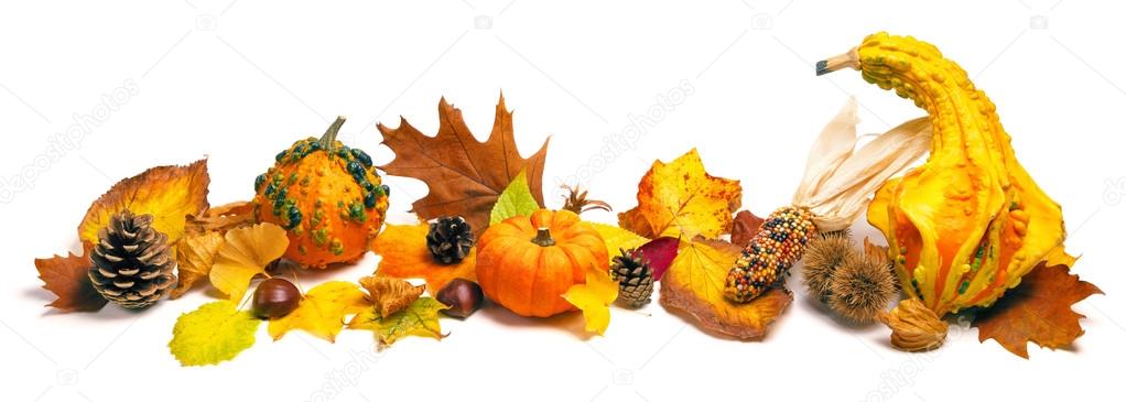 Autumn decoration arrangement