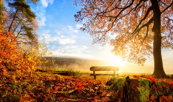 Hermoso paisaje de otoño — Foto de Stock