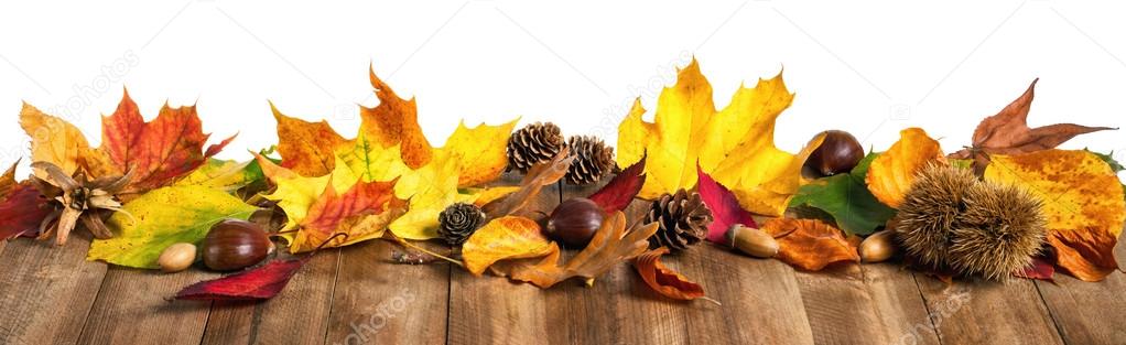 Autumn leaves on wooden table, studio isolated