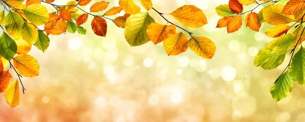 Autumn leaves border on bokeh background — Stock Photo, Image