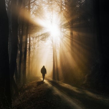 Sihirli sisli bir ormanda yürüyen bir yürüyüşçünün silueti altın güneş ışınlarıyla