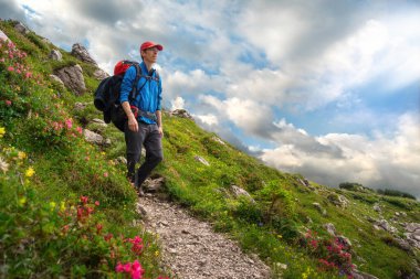 Alplerdeki bir dağ cennetinde yürüyüşçü. Sırt çantalı bir adam renkli alp çiçekleriyle yürüyordu, mavi gökyüzü ve tüylü bulutlarla..