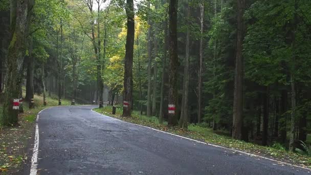 Motorcyklist Äventyr Motorcykel Passera Vid Kameran Biker Kom Kurva Väg — Stockvideo