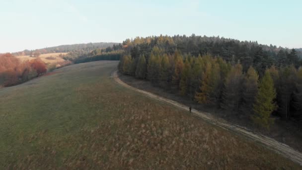 Latający Dron Kierunku Jesiennego Lasu Nad Turystyką Beskidzie Niskim Widok — Wideo stockowe