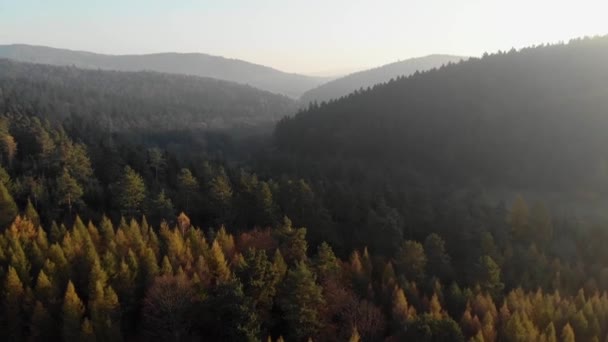 Poranny Widok Lotu Ptaka Dolne Beskidy Łagodne Światło Przy Wzniesieniu — Wideo stockowe