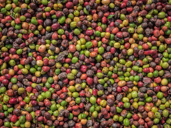 Fresh coffee beans before roast. — Stock Photo, Image