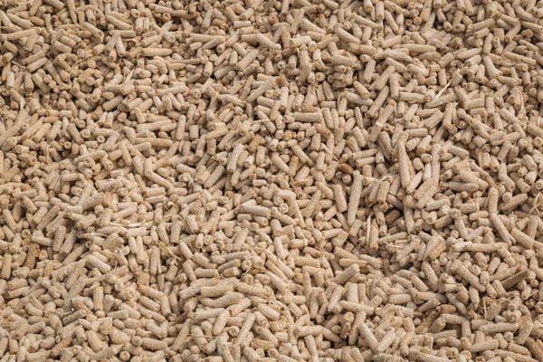 Hasat sonra kuru corncobs.