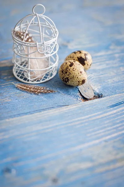 Oeufs de caille sur un fond en bois bleu — Photo