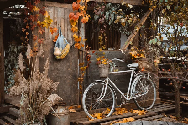 Jesienią Vintage Rower Kolorowymi Kwiatami Koszu Opierając Się Drewnianej Ścianie — Zdjęcie stockowe