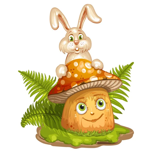 Cartoon-Pilz und Kaninchen — Stockvektor