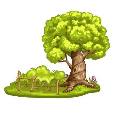 Ağaç beyaz zemin üzerine yeşil glade