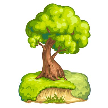 Yakın plan bir ağacın görüntüsü