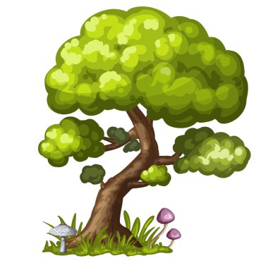 Yakın plan bir ağacın görüntüsü