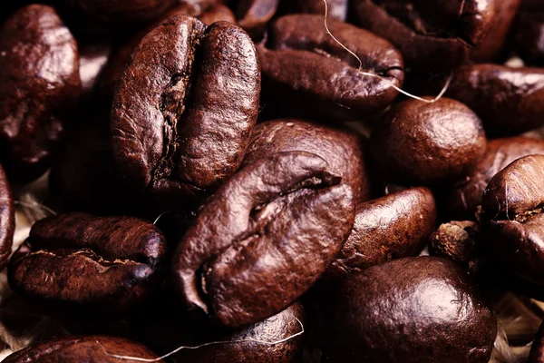 Lot of coffee beans — Stock Photo, Image