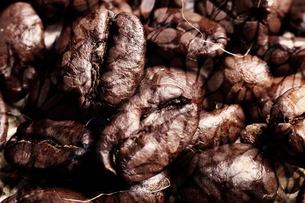 Bloemrijke korrels van koffie — Stockfoto