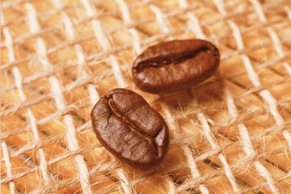 Два зерна кофе — стоковое фото