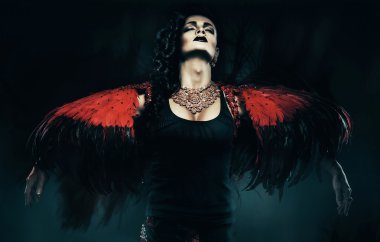 Kırmızı kanatlı travesti