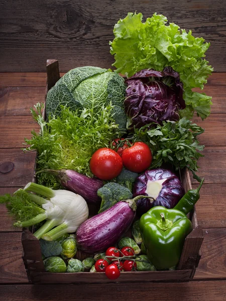 Mix of Fresh vegetables — Stock Photo, Image