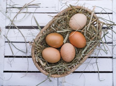 Hey ile bir Sepette yumurta