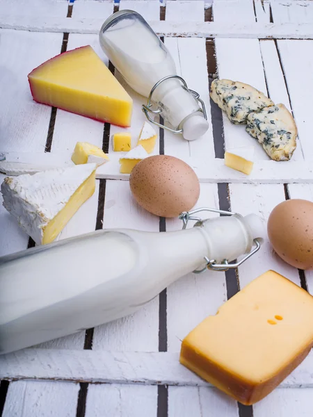 Different kinds of cheese and milk — Stock Photo, Image