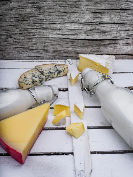 Different kinds of cheese and milk — Stock Photo, Image