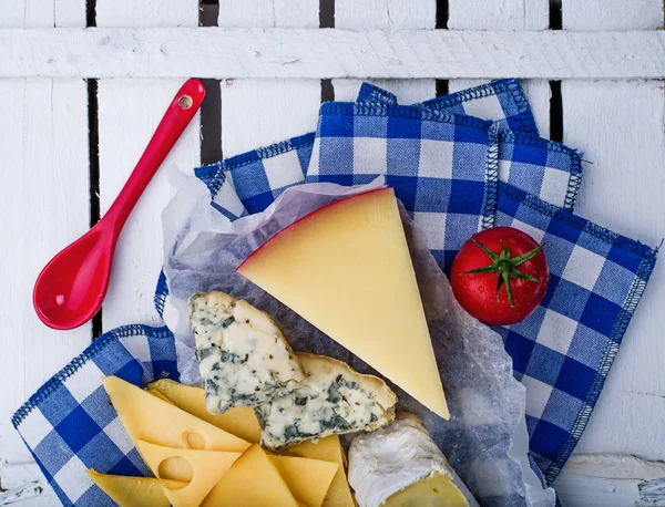 Different kinds of cheese — Stock Photo, Image