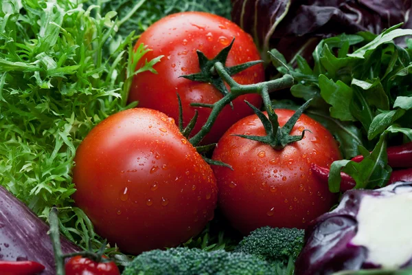 Tomaten met waterdruppels — Stockfoto