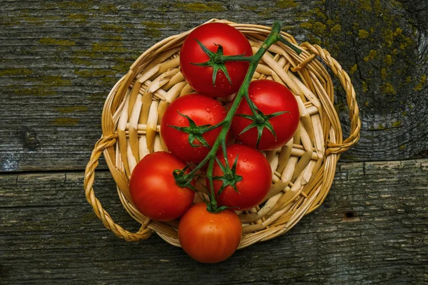 Svazek čerstvých rajčat — Stock fotografie