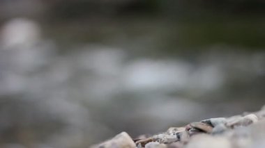kutsal nehir ganga dağdan akan. 