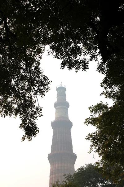 Qutb minar rond de boom bladeren — Stockfoto