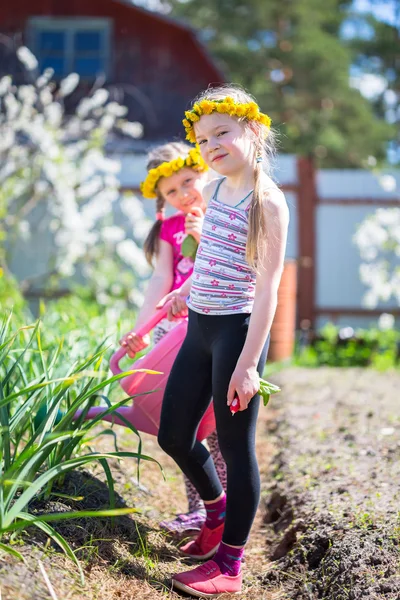 日当たりの良い暖かい日に最初の春の花に水をまく庭で作業 2 つの小さな女の子. — ストック写真