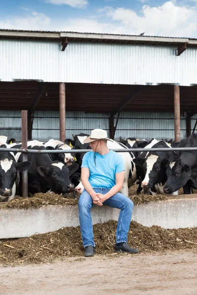 Homem agricultor que trabalha na fazenda com vacas leiteiras — Fotografia de Stock