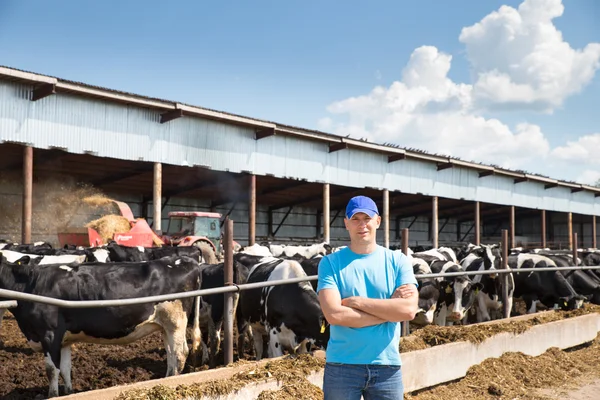 Hombre agricultor que trabaja en la granja con vacas lecheras — Foto de Stock