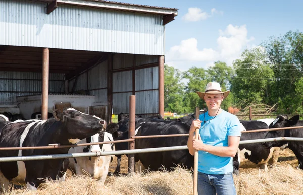 Landwirt arbeitet auf Bauernhof mit Milchkühen — Stockfoto