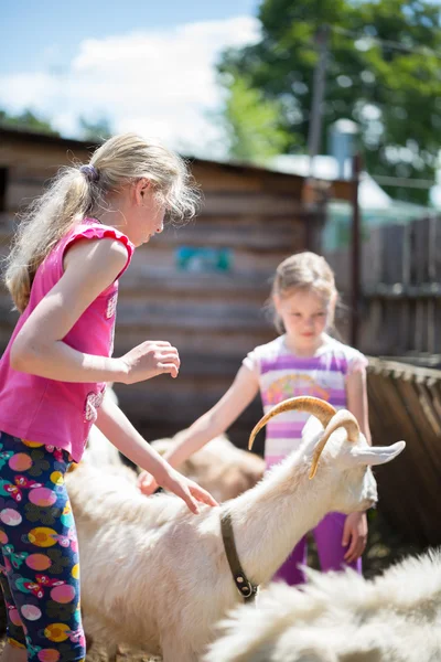 Pieni tyttö vuohen kanssa — kuvapankkivalokuva