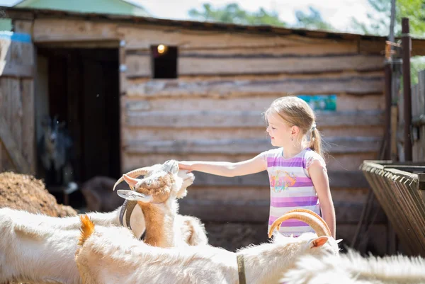 बकरी के साथ छोटी लड़की — स्टॉक फ़ोटो, इमेज