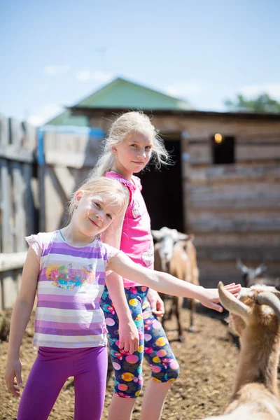 Маленькая девочка с козой — стоковое фото