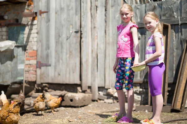 Crianças alimentadas galinhas — Fotografia de Stock