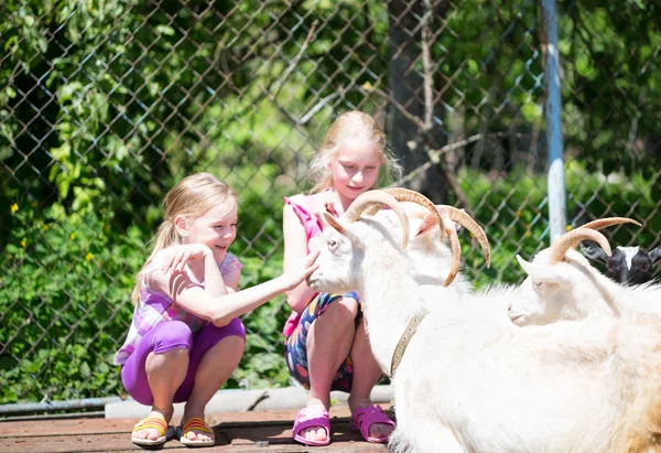 Crianças brincando com cabras na fazenda — Fotografia de Stock
