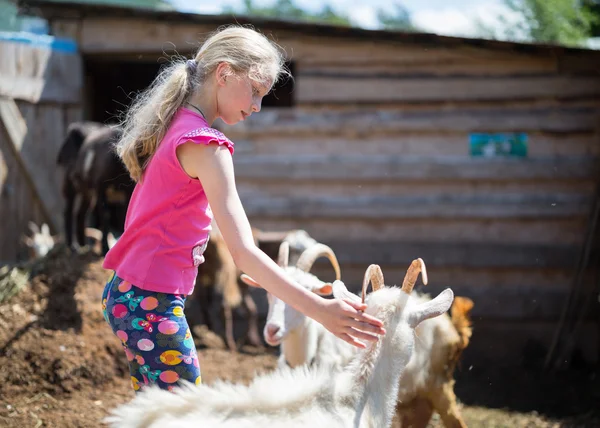 Crianças brincando com cabras na fazenda — Fotografia de Stock