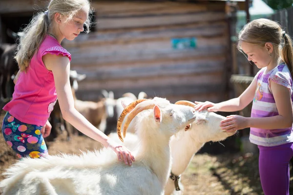 Maatilalla vuohen kanssa leikkivät lapset — kuvapankkivalokuva