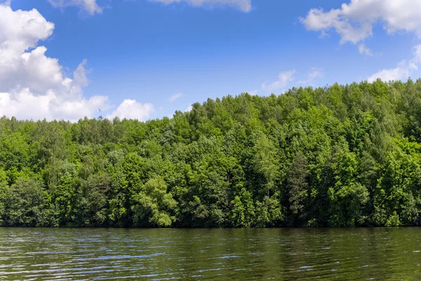 Bomen langs de oever van lake marburg, in codorus state park, pennsylvania. — Stockfoto