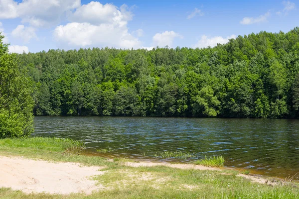 Árvores ao longo da costa do Lago Marburg, em Codorus State Park, Pensilvânia . — Fotografia de Stock