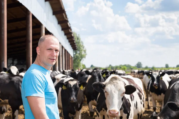 Αγρότης άνθρωπος που εργάζεται στο αγρόκτημα με αγελάδες γαλακτοπαραγωγής — Φωτογραφία Αρχείου