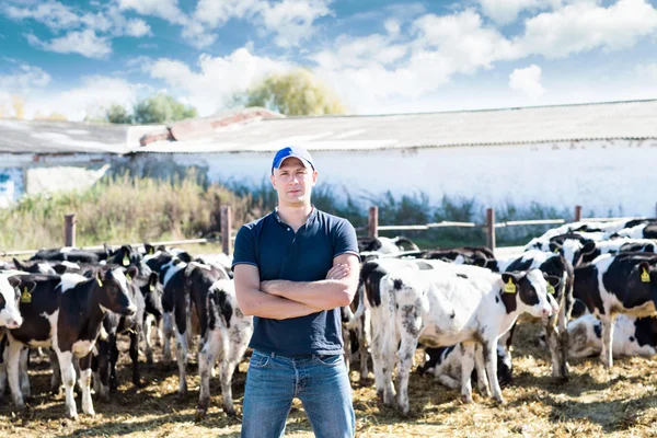 Hombre agricultor que trabaja en la granja con vacas lecheras — Foto de Stock