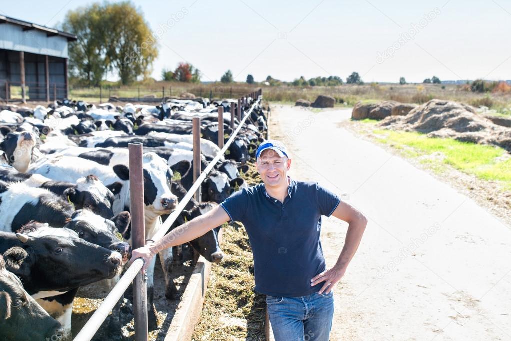 Portrait Of Veterinary Technician Feeding Cows At Farm Stock