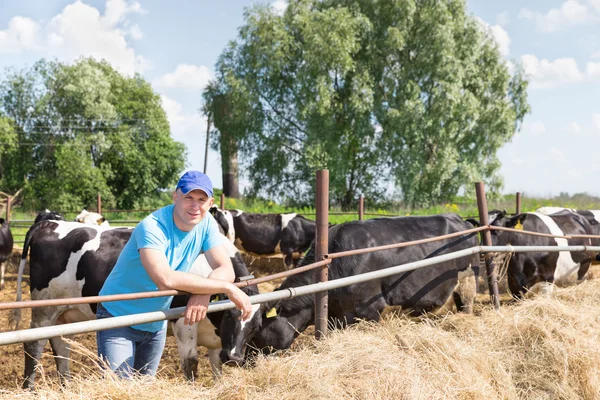 Tejelő tehenek a gazdaságban dolgozó férfi farmer — Stock Fotó