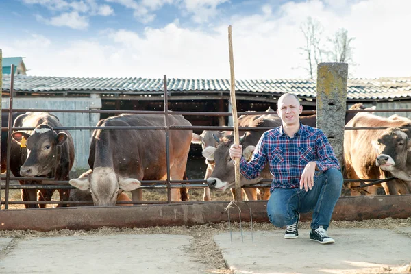 Hombre agricultor que trabaja en la granja con vacas lecheras — Foto de Stock