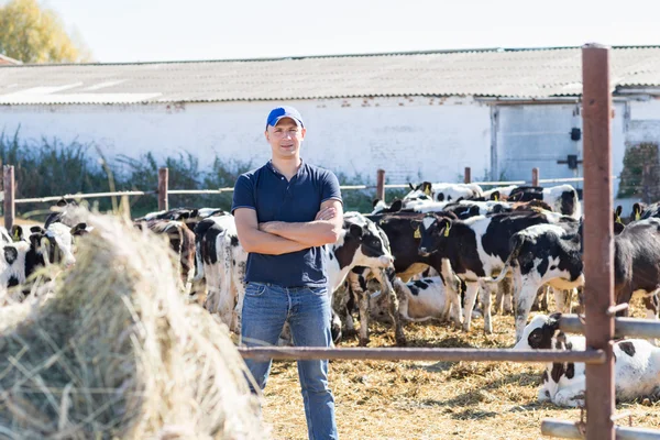 Tejelő tehenek a gazdaságban dolgozó férfi farmer — Stock Fotó